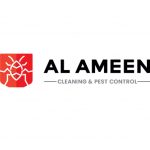 AL Ameen