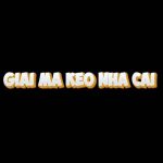 Giải mã kèo nhà cái