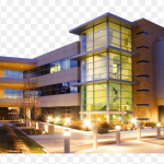Reeltor Company
