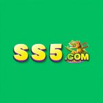 ss5 game – plataforma de jogos online com emoção e recompensas