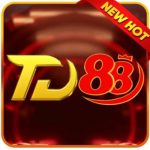 TD88