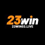 23WIN 03live