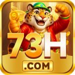 73h