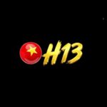 H13