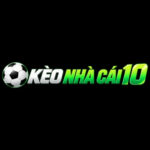 Tỷ Lệ Kèo Nhà Cái