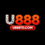 U888TD COM