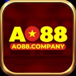 AO 88