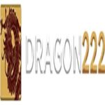 dragon222 dev