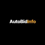 Autobid onfo