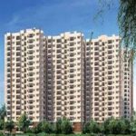 Birla Ojasvi New Launch