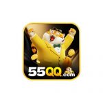 55qq