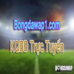 bongdawap1