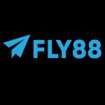 FLY88