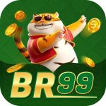 br99 sdf