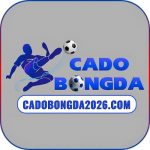 Web cá độ bóng đá