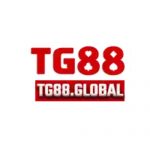 Tg88 global