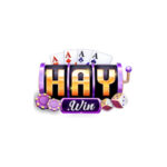 2Haywin com