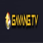 gavangtv llc
