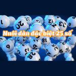 Nuoidande25sokhung2ngay com