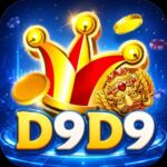 D9d9 net
