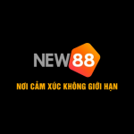 New88 Solar