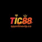 Qqonlinevip co