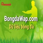 Số Bóng đá