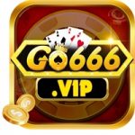 go666