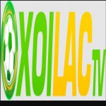 eufmdinfo Manipulating search result