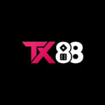 TX88 In Net