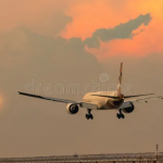 Flighta 987