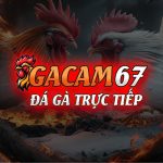 GACAM67 Trực tiếp đá gà