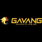 GaVangTV COMMX