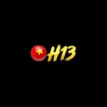 H13pro com
