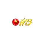 H13 social