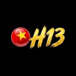 h13 solutions