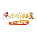 HAY88