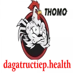 ĐÁ GÀ TRỰC TIẾP