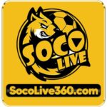 Socolive360 com