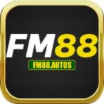 FM88