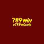 q789win vip