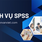 dichvuspss
