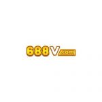 688vbrinfo