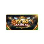 tysobongdavs com