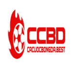Cá Cược Bóng Đá