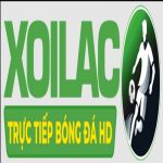 maltajazzfestival.org fake