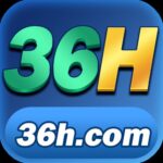 36H app