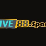 FIVE88