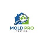 Mold Inspection