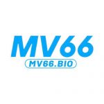 MV66 bio